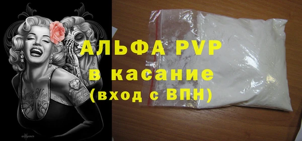 индика Ладушкин