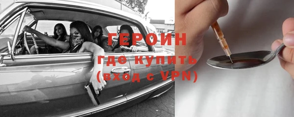 индика Ладушкин
