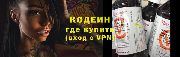 индика Ладушкин