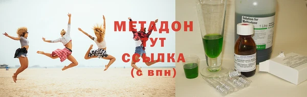 индика Ладушкин
