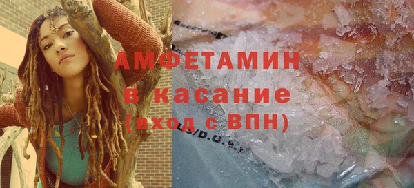 индика Ладушкин