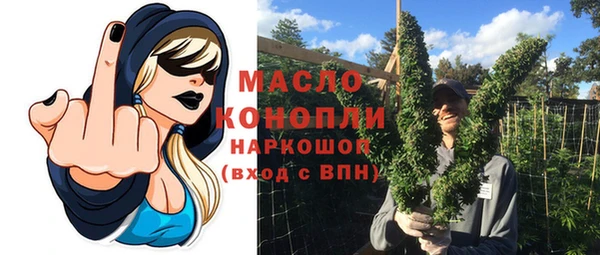 индика Ладушкин