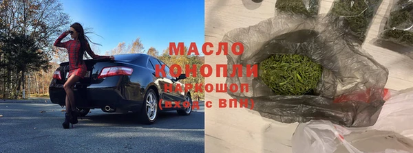 индика Ладушкин
