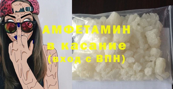 индика Ладушкин