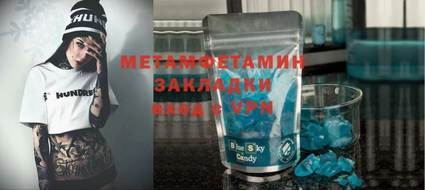 индика Ладушкин