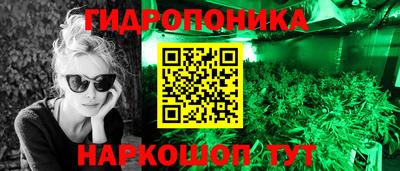 apvp Гагарин