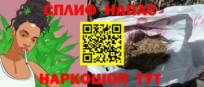 apvp Гагарин