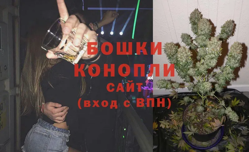 Бошки Шишки THC 21%  Новоуральск 